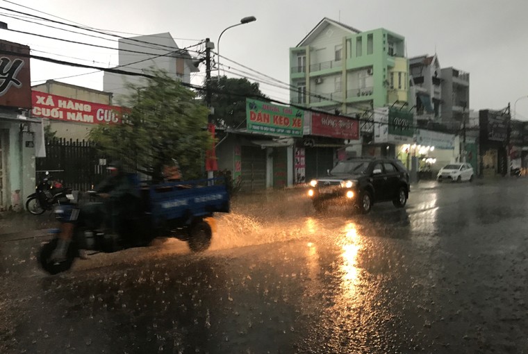 Chiều 4/2 (mùng 8 Tết), nhiều khu vực từ các quận trung tâm ra đến vùng ngoại thành Sài Gòn trời đổ mưa như trút nước.